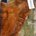 Extra Fancy Teak Live Edge Turning Blank