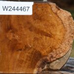 Teak Burl Live Edge Bowl Blank