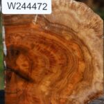 Teak Burl Live Edge Bowl Blank
