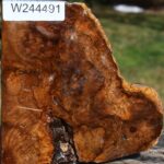 Teak Burl Live Edge Turning Blank