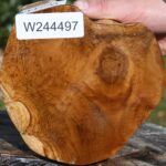 Teak Burl Live Edge Bowl Blank