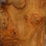 Teak Burl Turning Blank