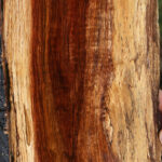 Hawaiian Koa Live Edge Micro Lumber