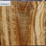 Extra Fancy Camphor Live Edge Bowl Blank