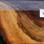 Camphor Live Edge Bowl Blank