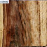 Figured Camphor Live Edge Platter Blank