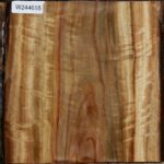 Figured Camphor Live Edge Bowl Blank