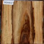 Camphor Live Edge Bowl Blank