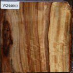 Figured Camphor Live Edge Bowl Blank