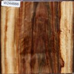 Figured Camphor Live Edge Bowl Blank