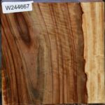 Extra Fancy Camphor Bowl Blank