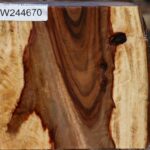 Figured Camphor Live Edge Bowl Blank