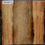 Camphor Live Edge Bowl Blank