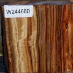 Figured Camphor Live Edge Bowl Blank