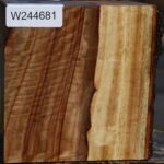 Figured Camphor Live Edge Bowl Blank