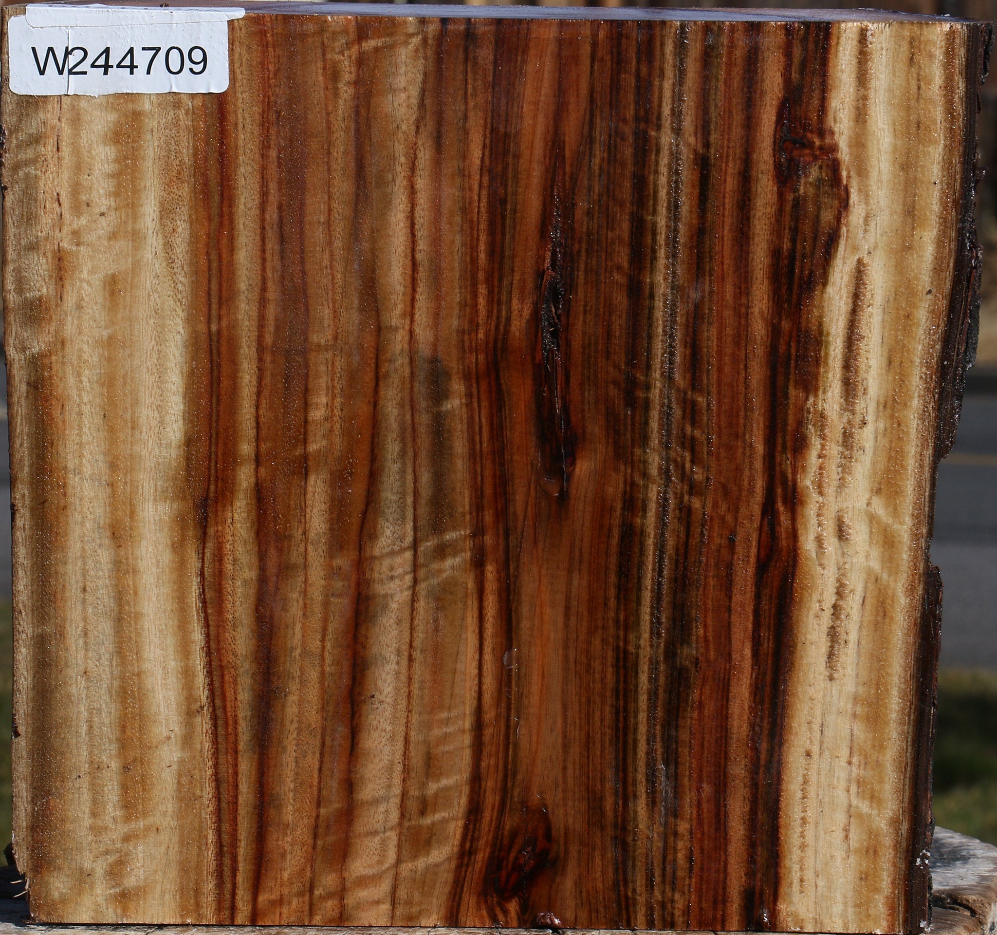 244709_1_c4771449-ba58-44de-a942-c6ee16003f51 Camphor Live Edge Platter Blank - Image 1