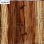 Extra Fancy Camphor Live Edge Bowl Blank