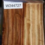 Extra Fancy Camphor Live Edge Bowl Blank