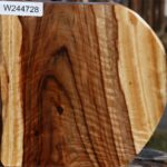 Extra Fancy Camphor Live Edge Bowl Blank