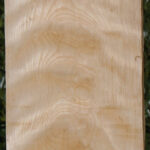 Curly Birch Lumber