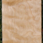 Curly Birch Lumber