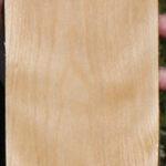 Curly Birch Lumber