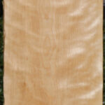 Curly Birch Lumber