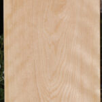 Curly Birch Lumber