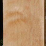 Curly Birch Lumber