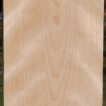 Curly Birch Lumber