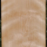 Curly Birch Lumber