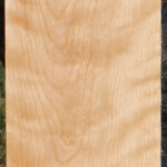 Curly Birch Lumber