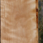 Curly Birch Lumber