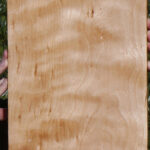 Curly Birch Lumber