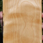 Curly Birch Lumber