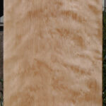 Curly Birch Lumber