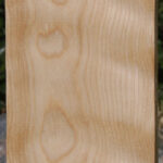 Curly Birch Lumber