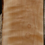 Curly Birch Lumber