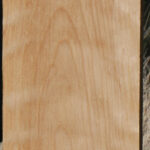Curly Birch Lumber