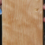Curly Birch Lumber