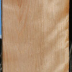 Curly Birch Lumber