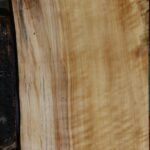 Black Cottonwood Live Edge Lumber