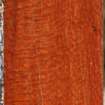 Extra Fancy Leopardwood Lumber