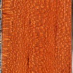 Extra Fancy Leopardwood Lumber