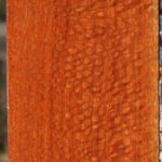 Extra Fancy Leopardwood Lumber