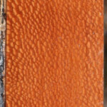Leopardwood Lumber