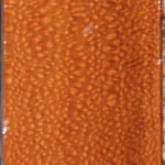 Extra Fancy Leopardwood Lumber