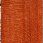 Extra Fancy Leopardwood Lumber