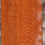 Figured Leopardwood Lumber