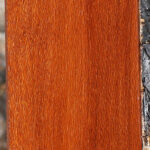 Leopardwood Lumber